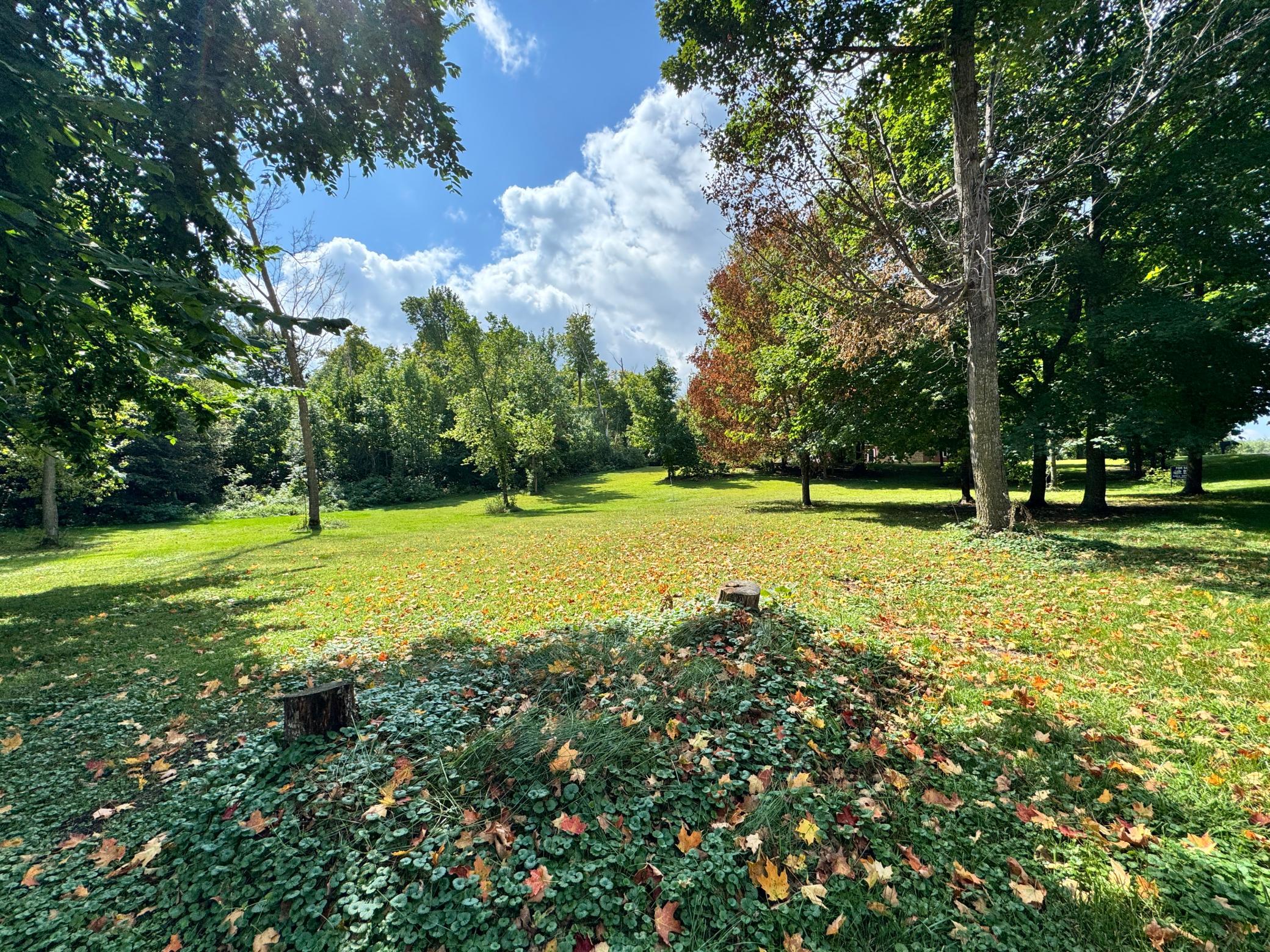 Xxx 365th Street Ottertail, MN 56571 - Photo 11 of 24