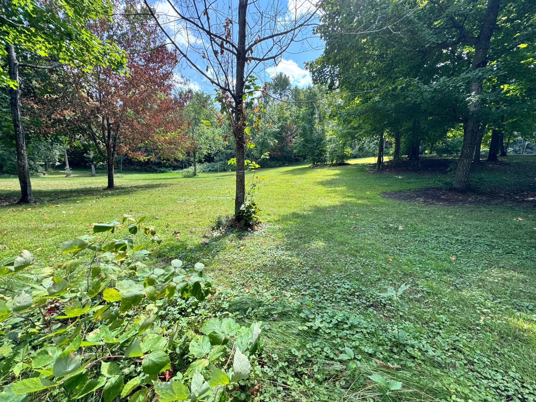 Xxx 365th Street Ottertail, MN 56571 - Photo 15 of 24