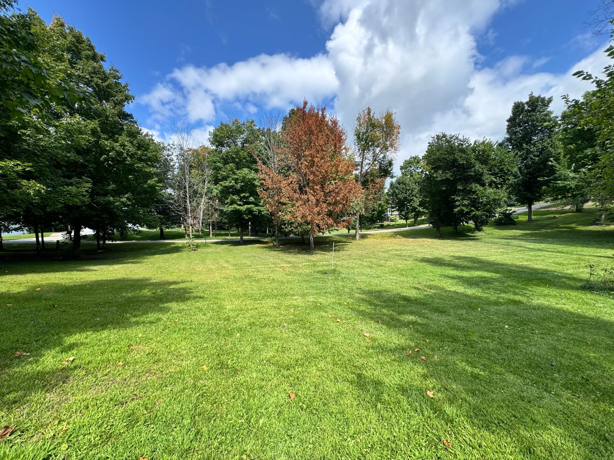 Xxx 365th Street Ottertail, MN 56571 - Photo 18 of 24