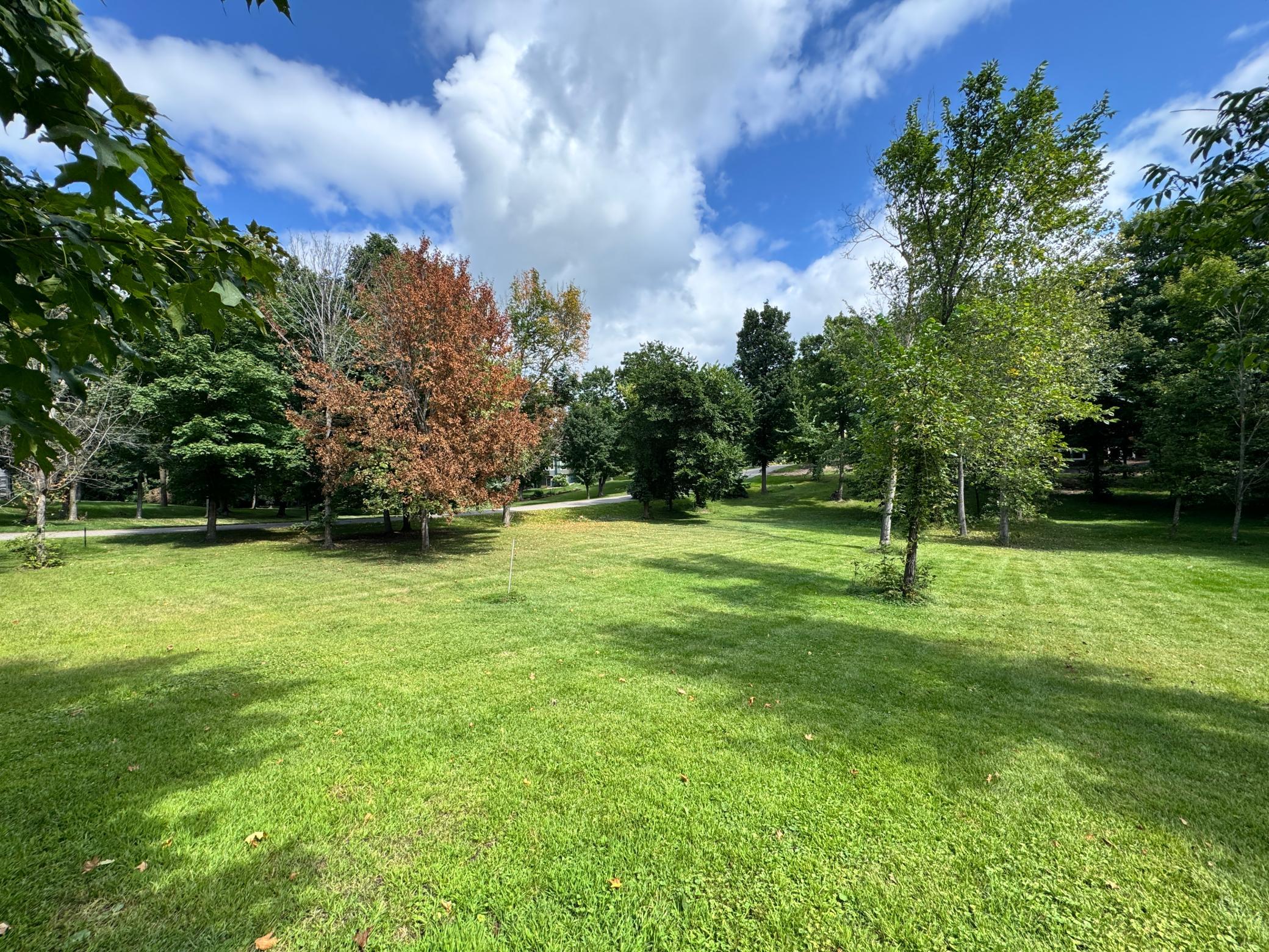 Xxx 365th Street Ottertail, MN 56571 - Photo 19 of 24