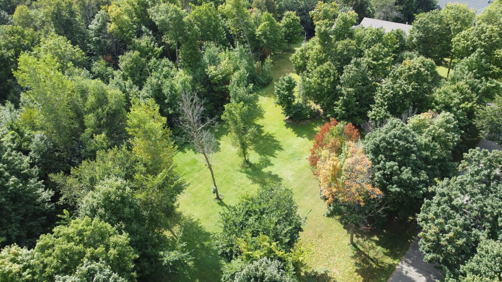 Xxx 365th Street Ottertail, MN 56571 - Photo 4 of 24