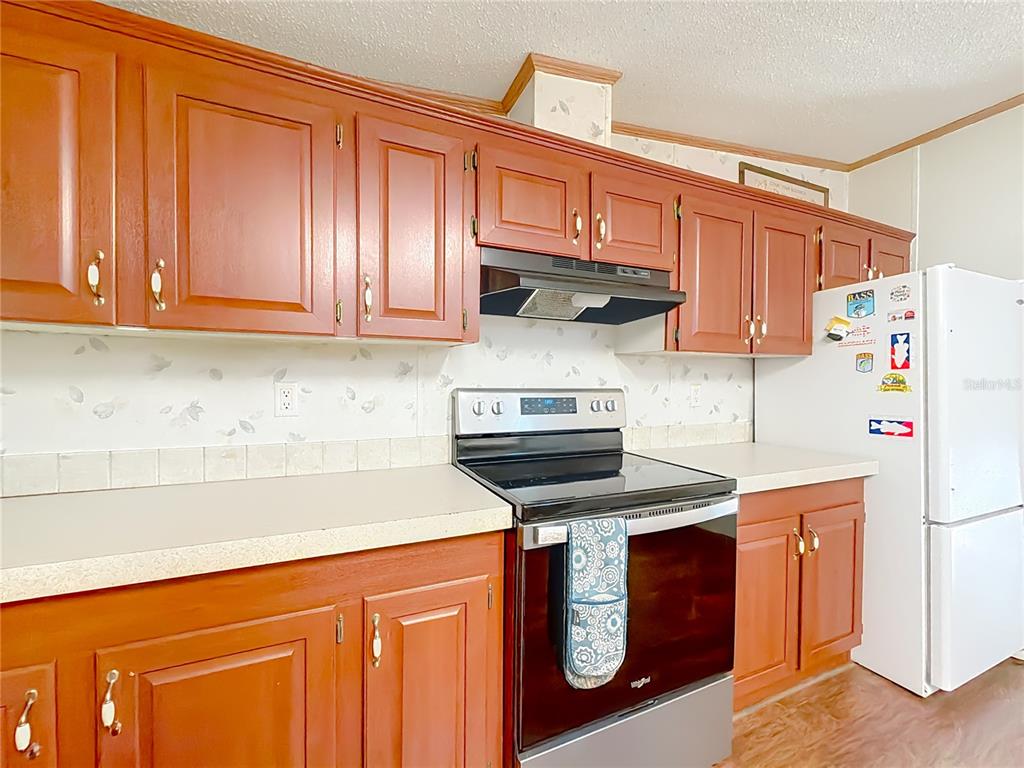 9575 Southwest 155th Street Dunnellon, FL 34432 - Photo 16 of 50