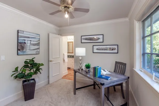 a view of a room with furniture and a potted plant