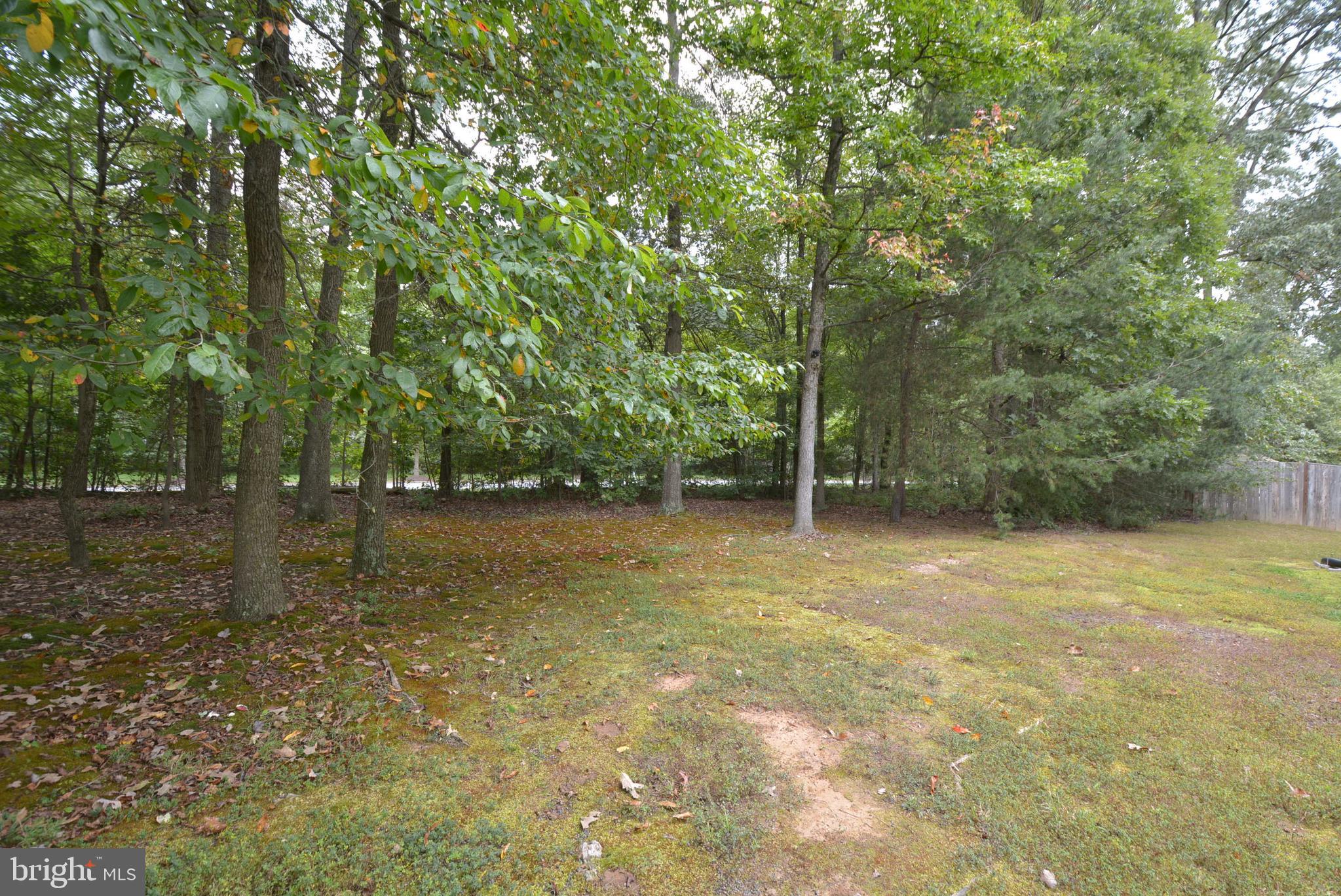 6306 Rory Court Lanham, MD 20706 - Photo 41 of 42 View of rear yard