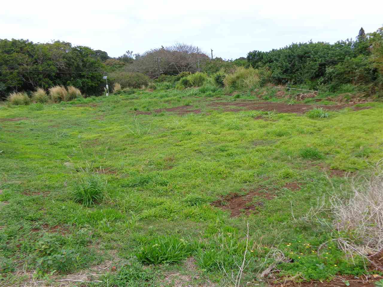 115 Pauwela Road, Unit 3 Haiku, HI 96708 - Photo 4 of 5 a view of an outdoor space with a lake view