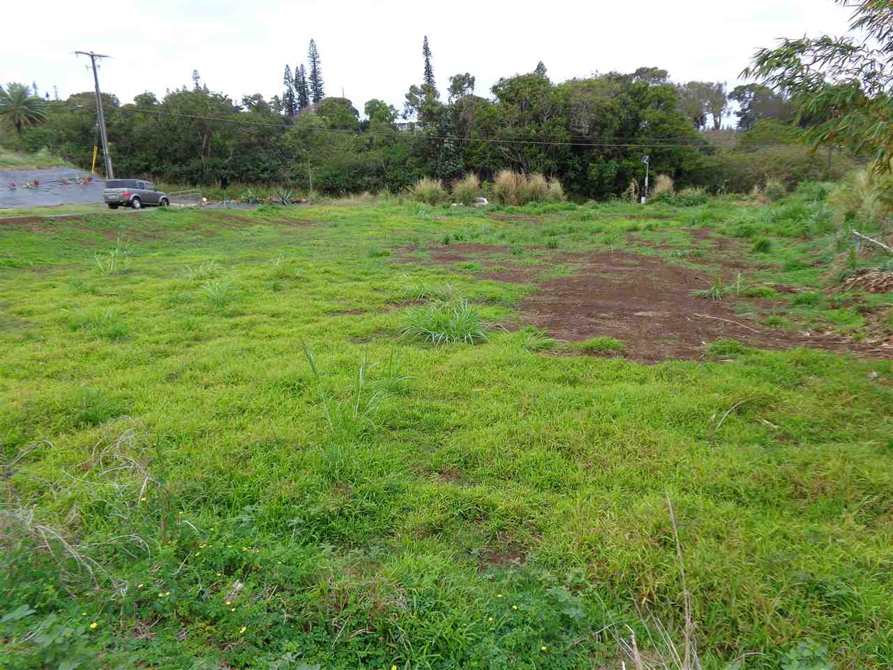 115 Pauwela Road, Unit 3 Haiku, HI 96708 - Photo 5 of 5 a view of a grassy field with trees