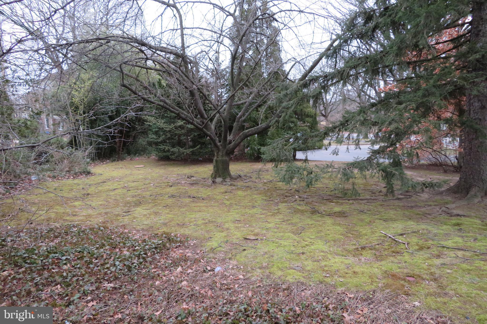 633 Ashmead Road Cheltenham, PA 19012 - Photo 36 of 40 Side yard west side