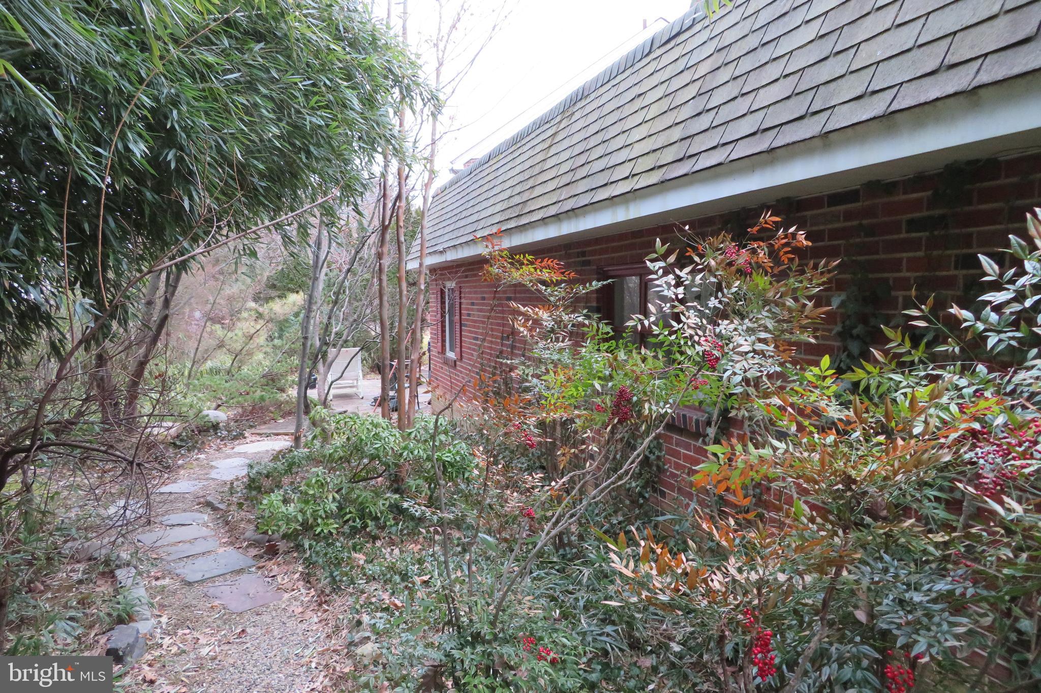 633 Ashmead Road Cheltenham, PA 19012 - Photo 5 of 40 Rear of office addition with winding garden path.