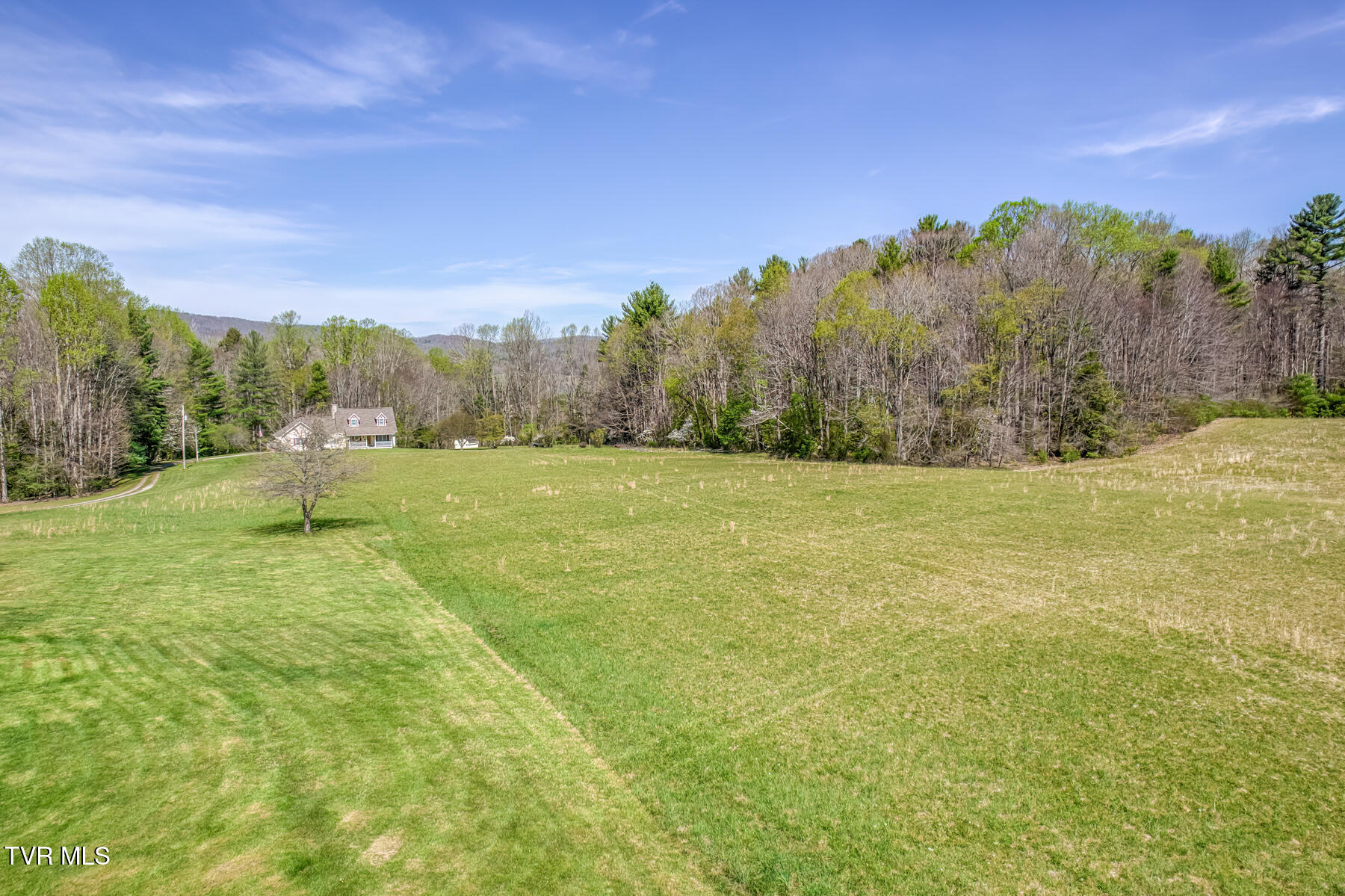 1650 Sluder Road Shady Valley, TN 37688 - Photo 66 of 76 1650 Sluder Rd-89