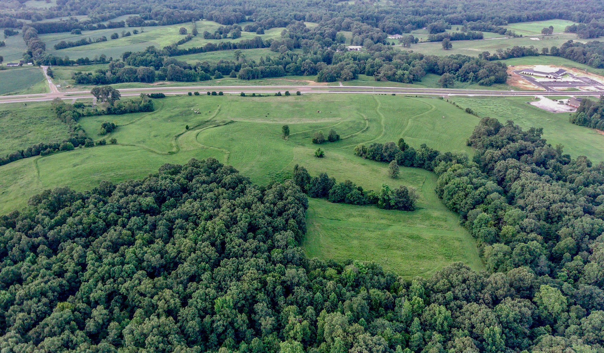 an aerial view of green field with trees in the background