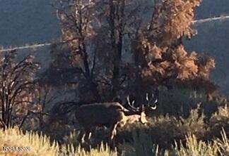 8522 Pinenut Creek Road Gardnerville, NV 89410 - Photo 18 of 20 g property