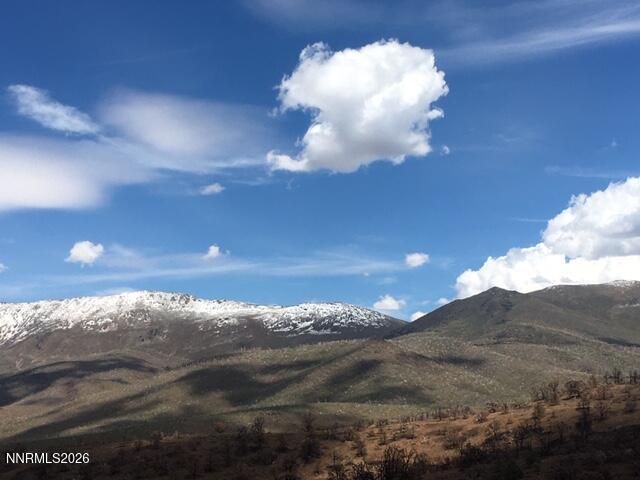 8522 Pinenut Creek Road Gardnerville, NV 89410 - Photo 19 of 20 f view