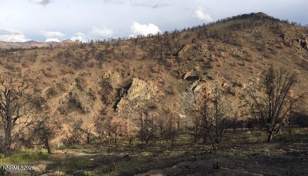 8522 Pinenut Creek Road Gardnerville, NV 89410 - Photo 20 of 20 east property and view l