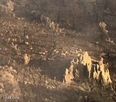 8522 Pinenut Creek Road Gardnerville, NV 89410 - Photo 4 of 20 property east side