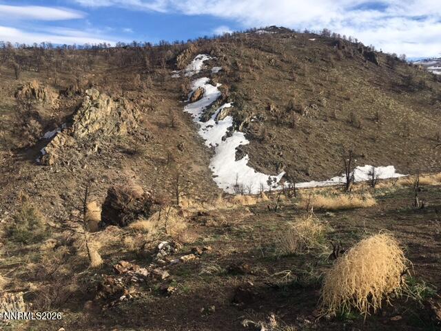 8522 Pinenut Creek Road Gardnerville, NV 89410 - Photo 5 of 20 property east side a