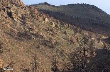 8522 Pinenut Creek Road Gardnerville, NV 89410 - Photo 7 of 20 property and view looking south