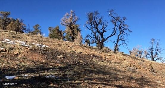 8522 Pinenut Creek Road Gardnerville, NV 89410 - Photo 8 of 20 property a