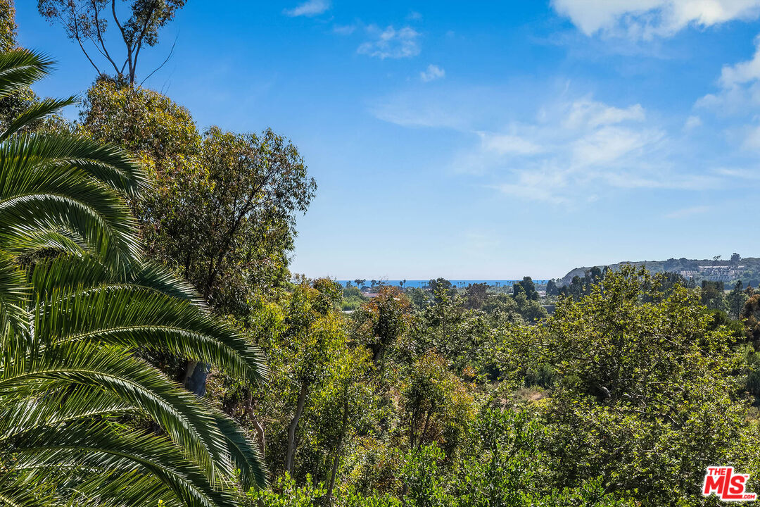 3557 Serra Road Malibu, CA 90265 - Photo 24 of 32 a view of a yard