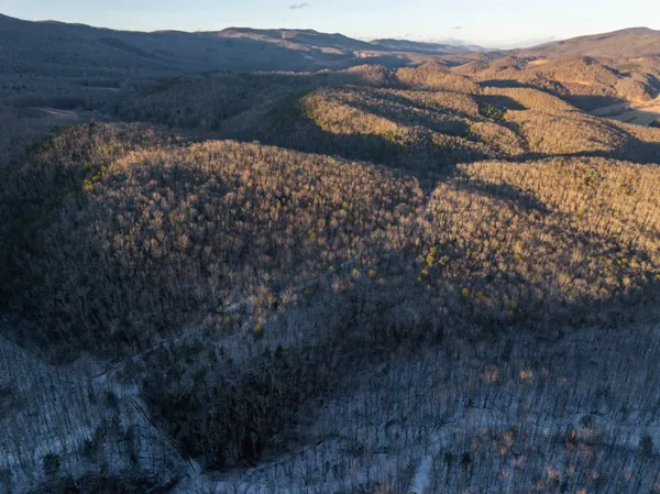 a view of an outdoor space and a yard