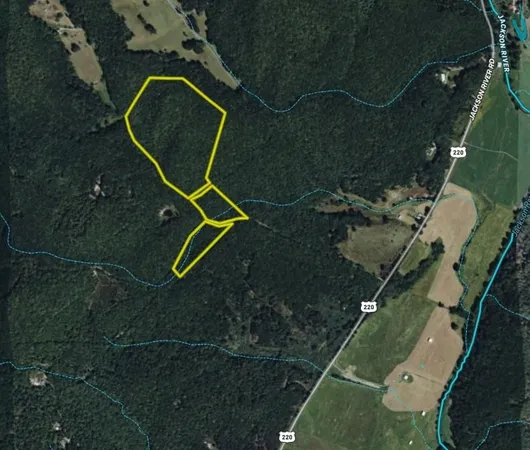 $150,000 | Tbd Whippoorwill Lane, Monterey, VA 24465