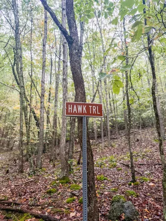 a view of a dry yard with trees and mountain view