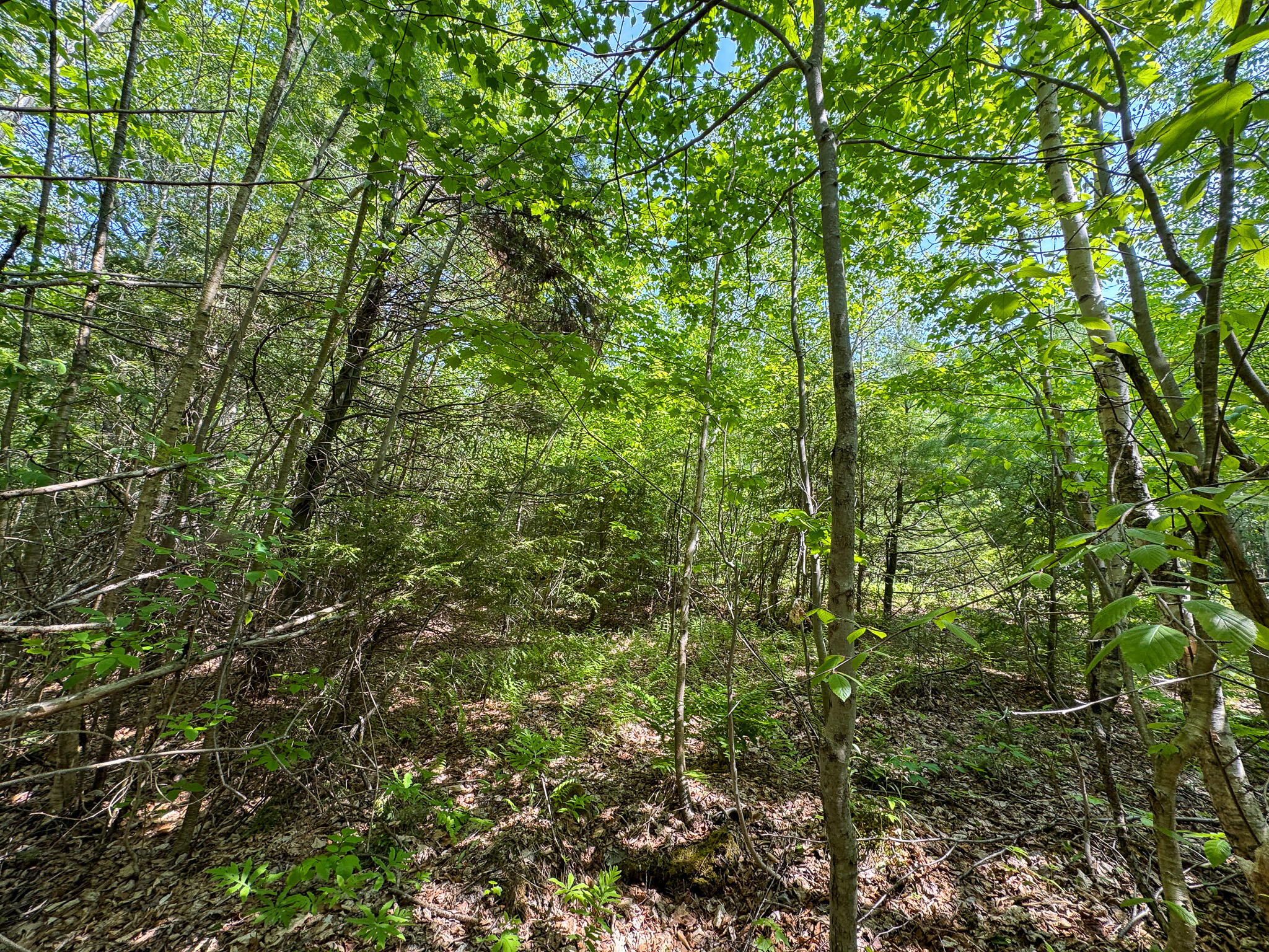 M1-l2 Bunker Hill Road Lagrange, ME 04453 - Photo 8 of 13 8