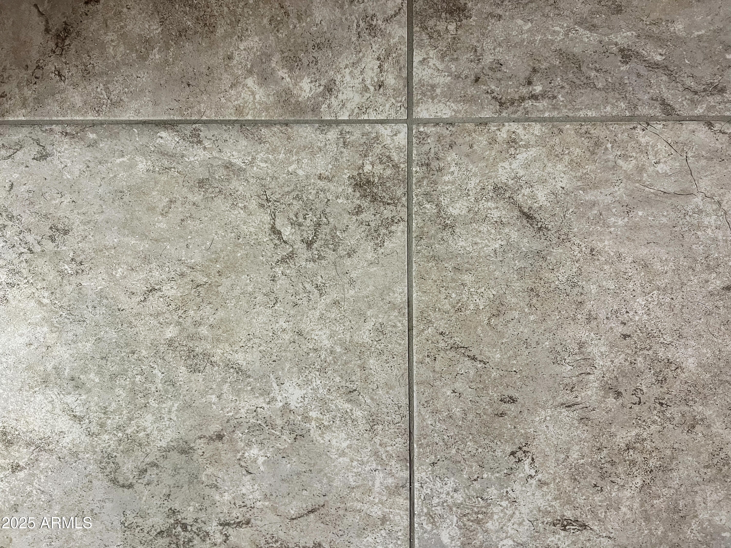 8491 West Springfield Way Florence, AZ 85132 - Photo 33 of 34 a bathroom with a shower