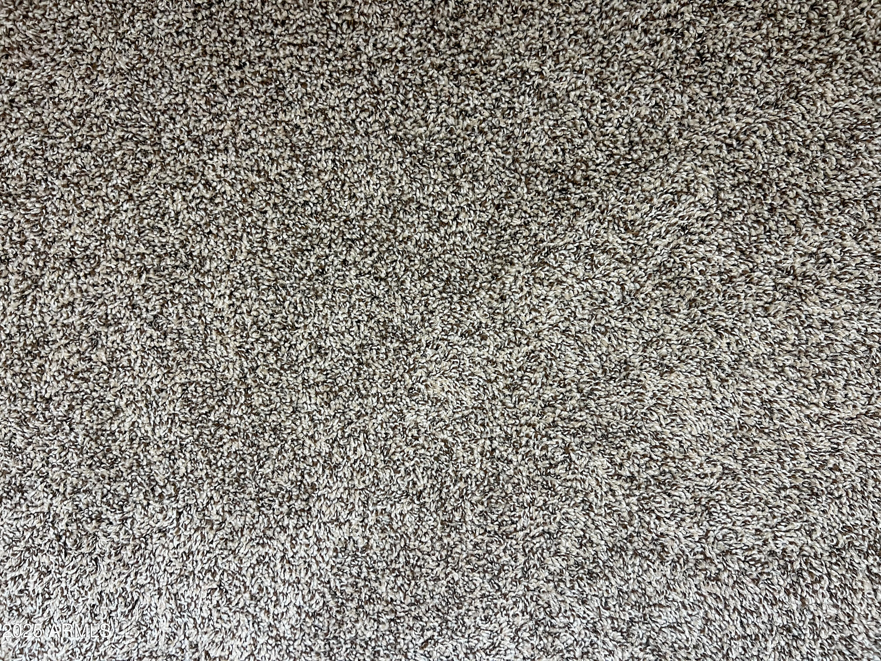 8491 West Springfield Way Florence, AZ 85132 - Photo 34 of 34 a bathroom with a shower curtain