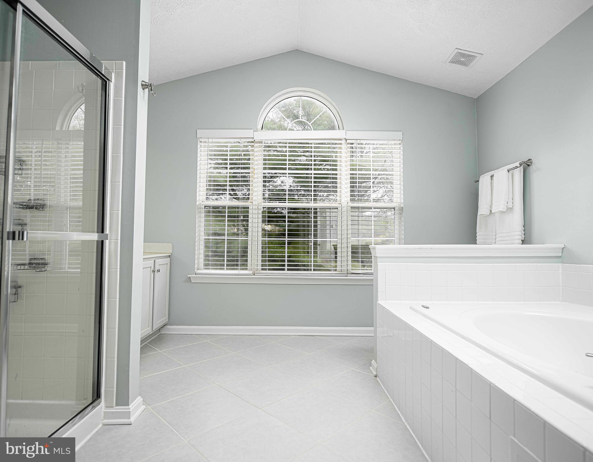1418 Roman Ridge Way Bel Air, MD 21014 - Photo 30 of 43 Jetted tub & tiled shower and floor