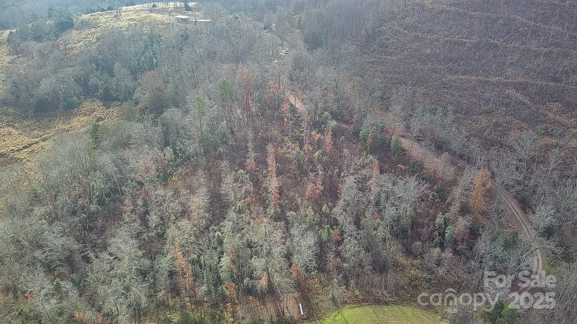 0 Linneys Mill Road Union Grove, NC 28689 - Photo 5 of 12 a view of a yard
