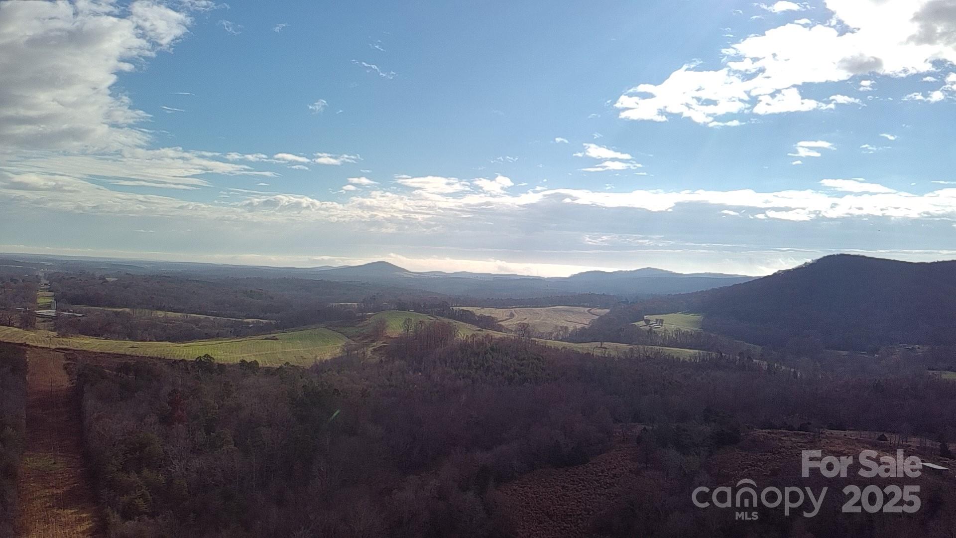 0 Linneys Mill Road Union Grove, NC 28689 - Photo 7 of 12 a view of a street with a big yard