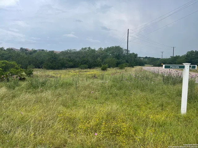 a view of a lake with a yard