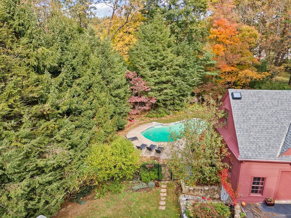 90 Brook Street Wellesley, MA 02482 - Photo 35 of 40 view of a forest with a tree