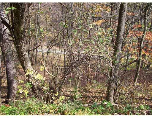 2222 Riddle Run Road Springdale, PA 15144 - Photo 10 of 10 Land.