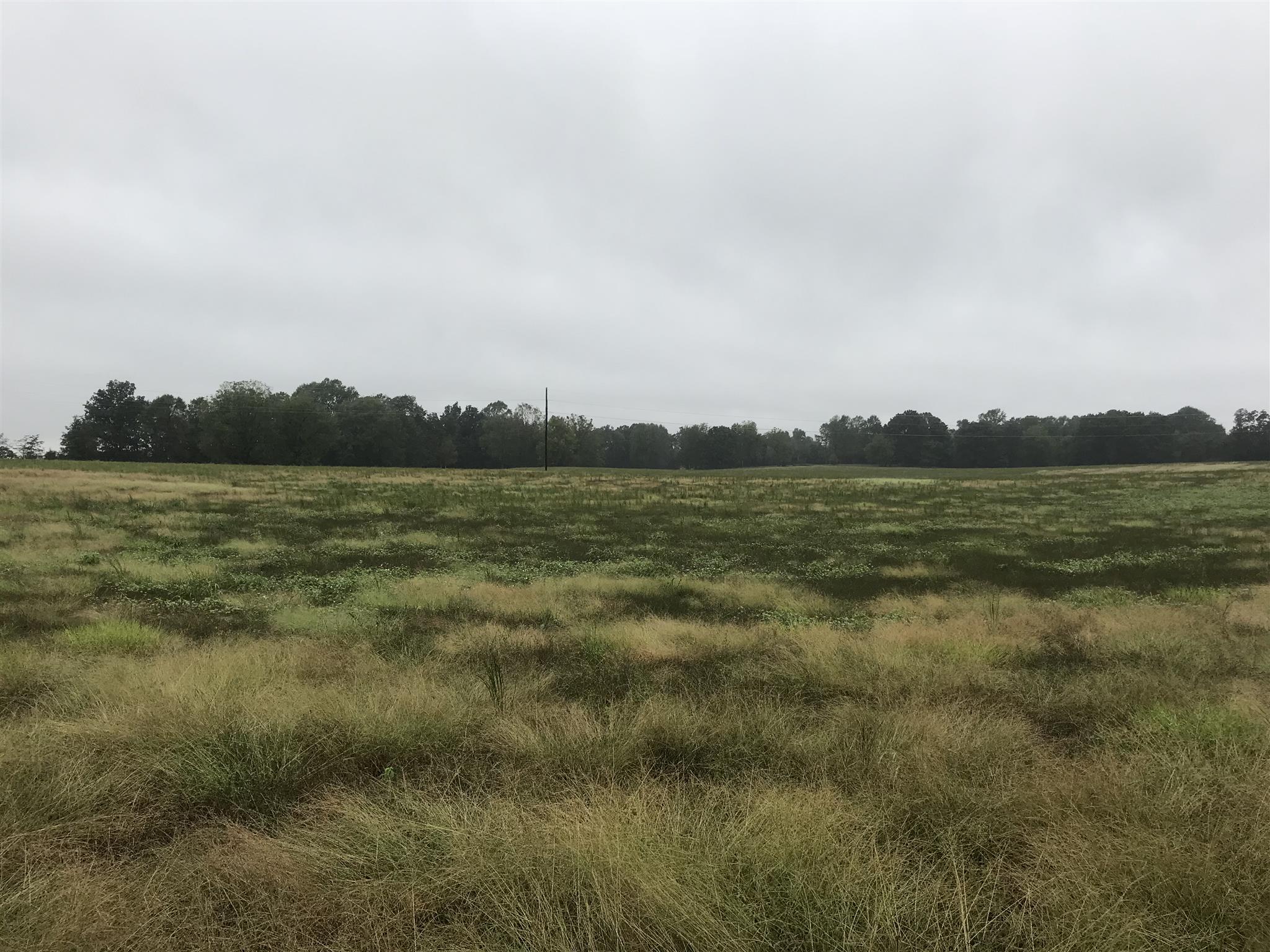 1 Brown Road Springfield, TN 37172 - Photo 1 of 1 a view of an ocean