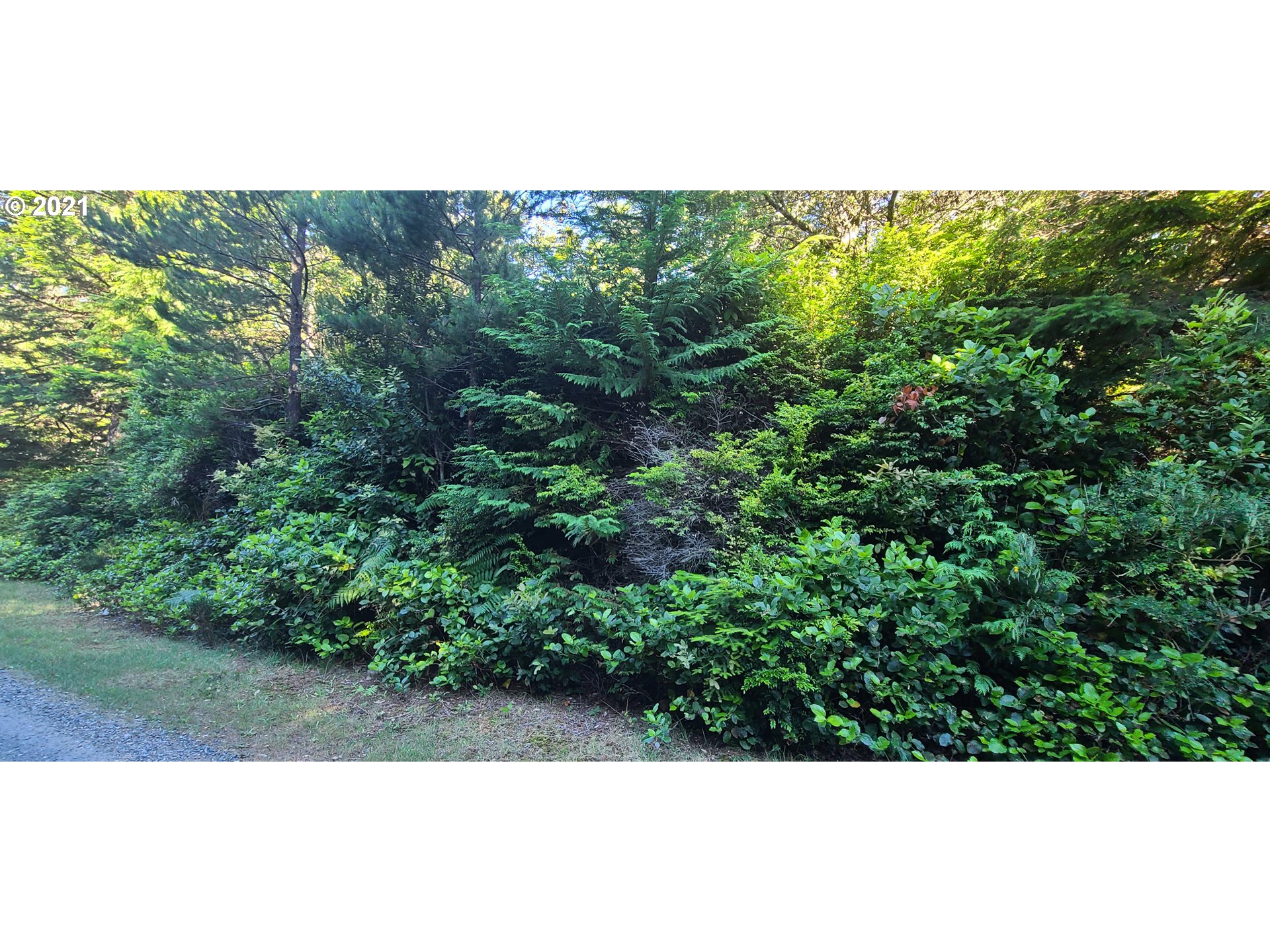 Old Mill Rd Port, Unit 901 Port Orford, OR 97465 - Photo 2 of 17 Gallery Image 2
