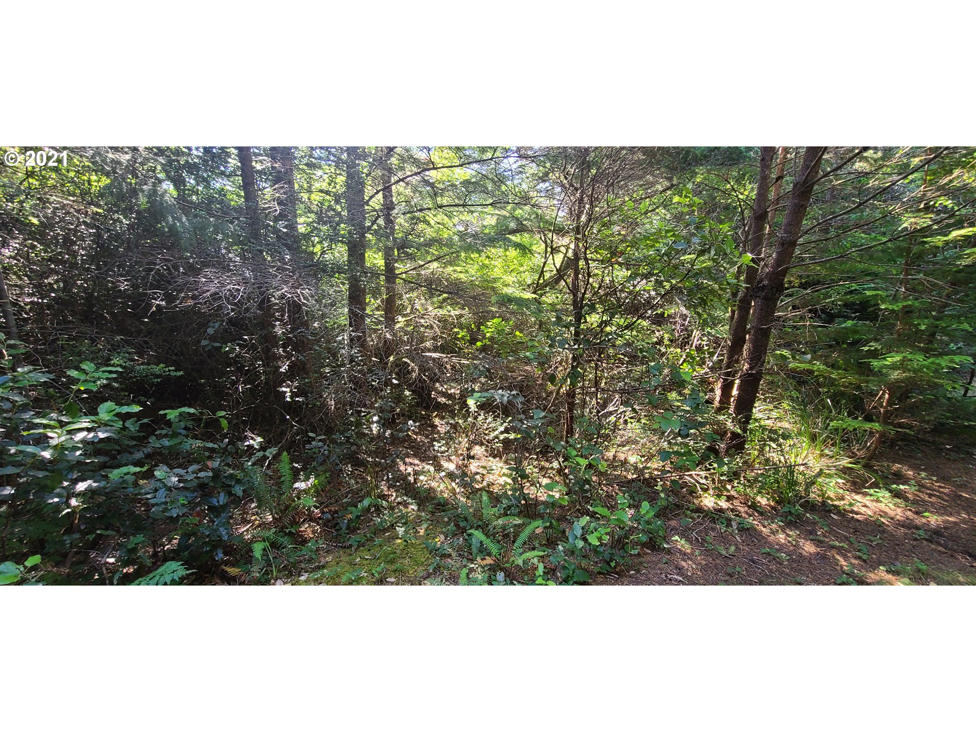 Old Mill Rd Port, Unit 901 Port Orford, OR 97465 - Photo 11 of 17 Gallery Image 11
