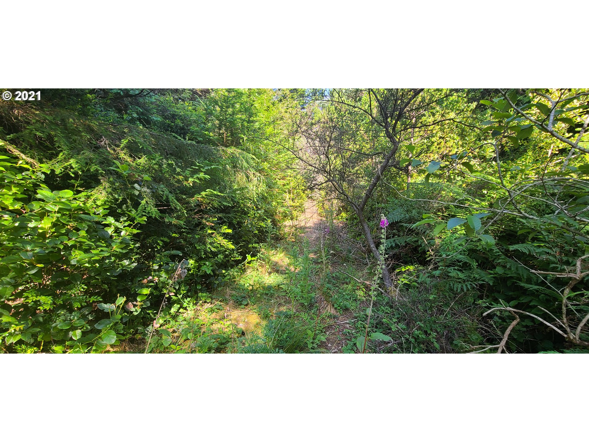 Old Mill Rd Port, Unit 901 Port Orford, OR 97465 - Photo 12 of 17 Gallery Image 12