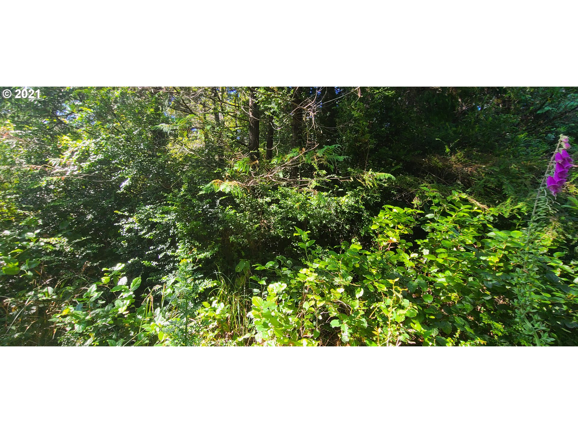 Old Mill Rd Port, Unit 901 Port Orford, OR 97465 - Photo 13 of 17 Gallery Image 13