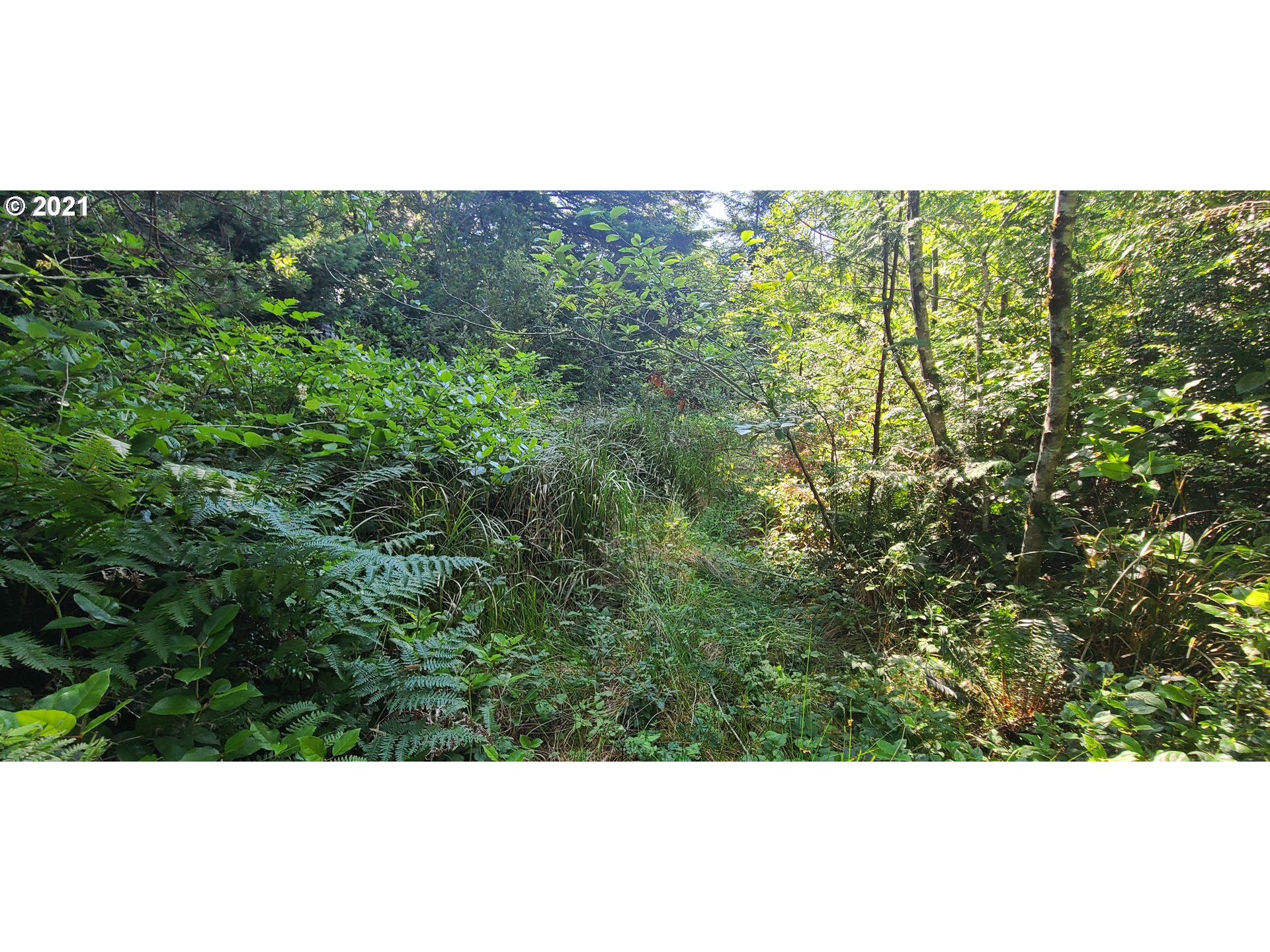 Old Mill Rd Port, Unit 901 Port Orford, OR 97465 - Photo 15 of 17 Gallery Image 15