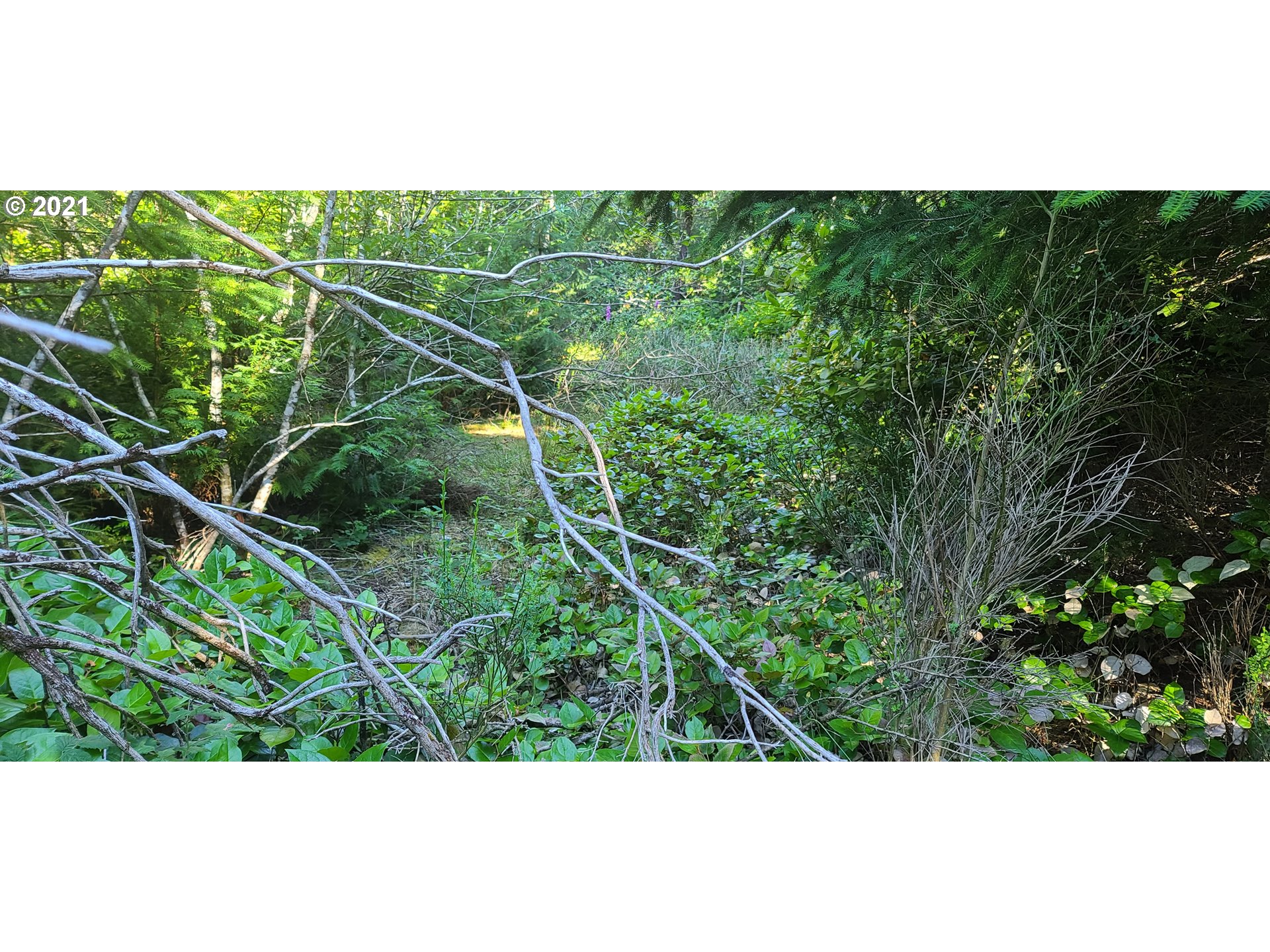 Old Mill Rd Port, Unit 901 Port Orford, OR 97465 - Photo 3 of 17 Gallery Image 3