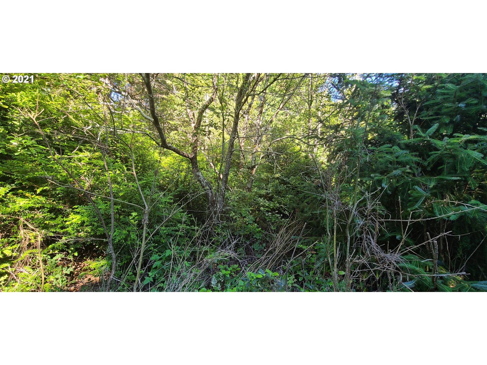 Old Mill Rd Port, Unit 901 Port Orford, OR 97465 - Photo 4 of 17 Gallery Image 4