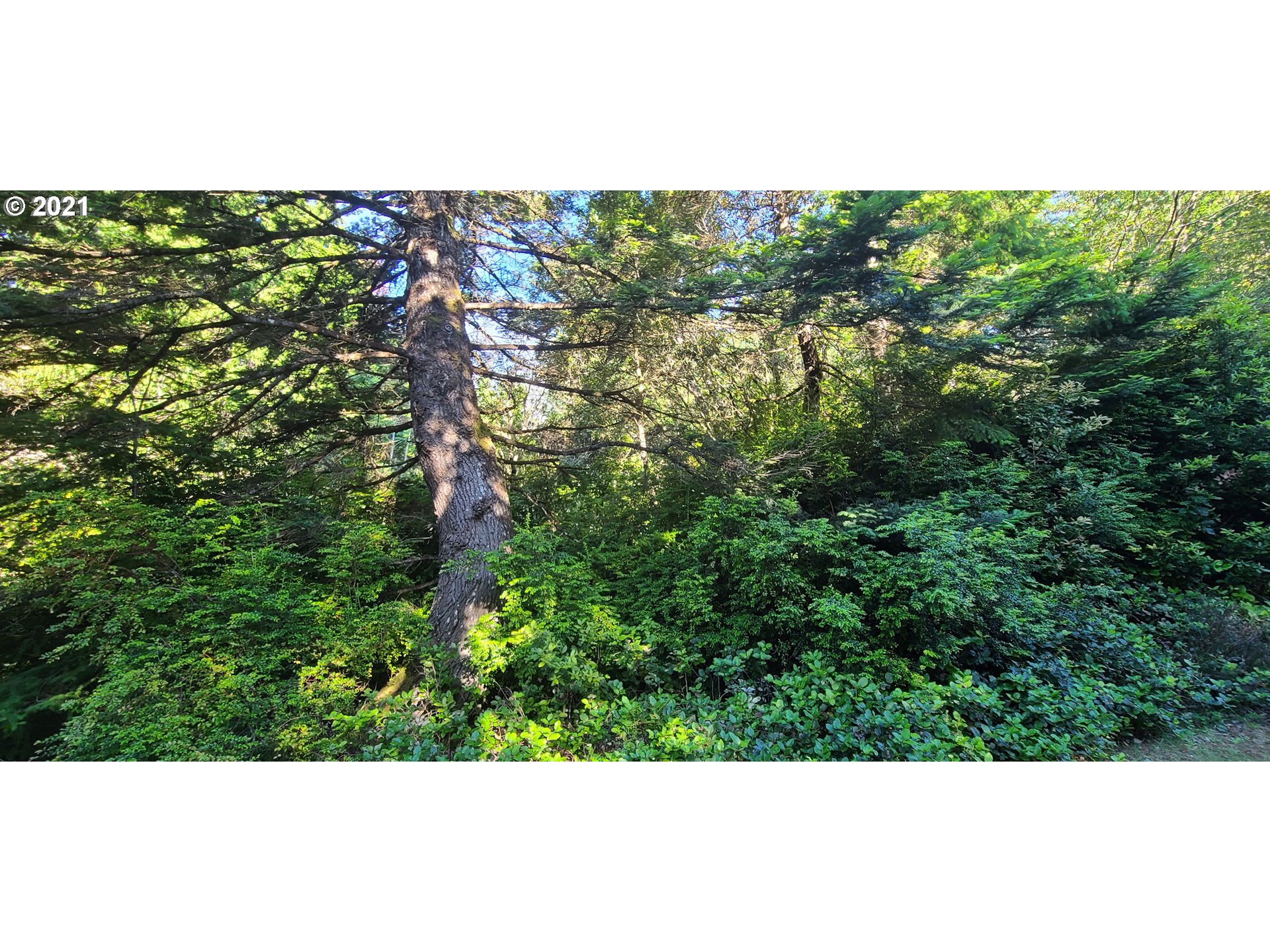 Old Mill Rd Port, Unit 901 Port Orford, OR 97465 - Photo 6 of 17 Gallery Image 6