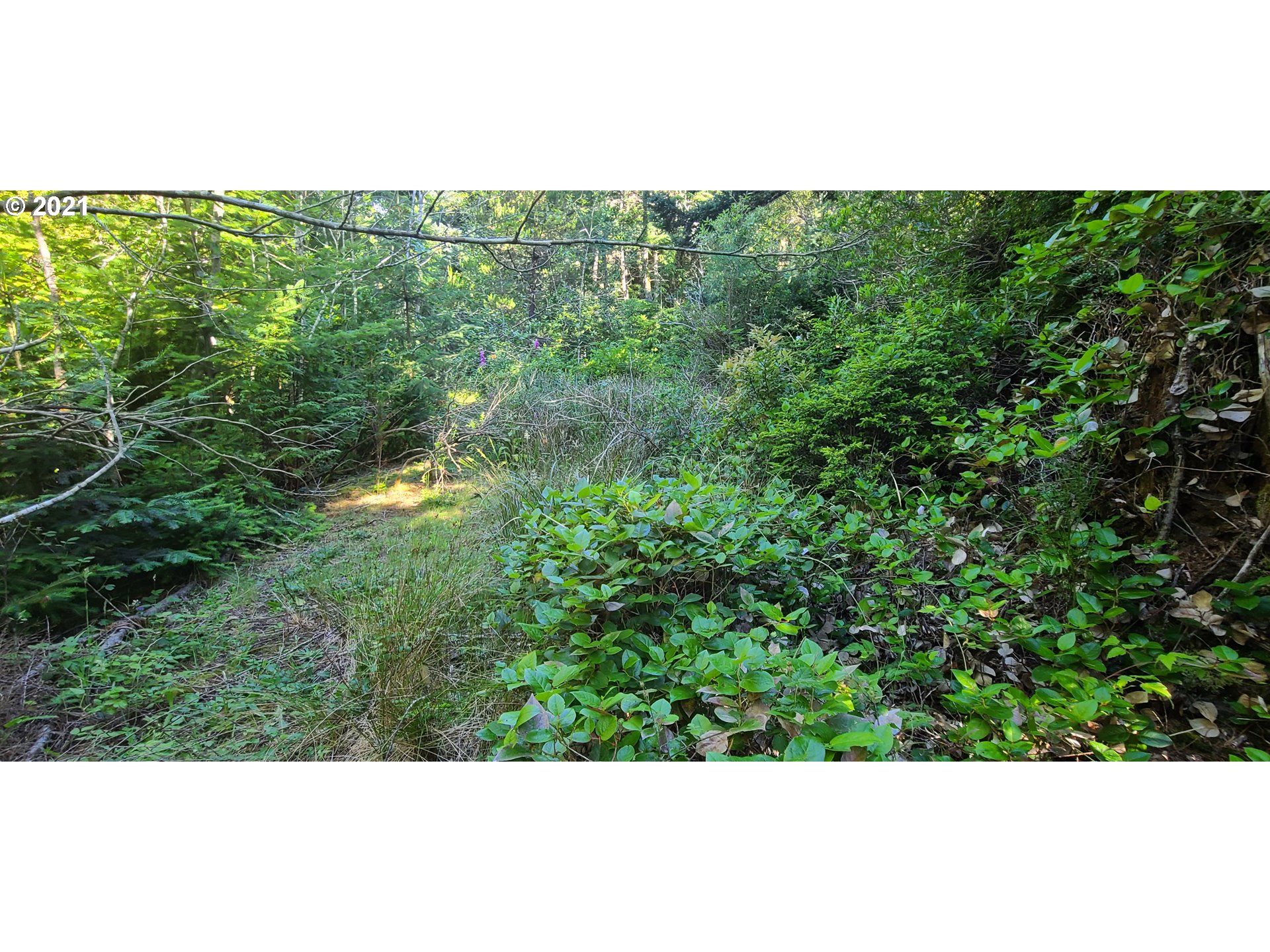 Old Mill Rd Port, Unit 901 Port Orford, OR 97465 - Photo 7 of 17 Gallery Image 7