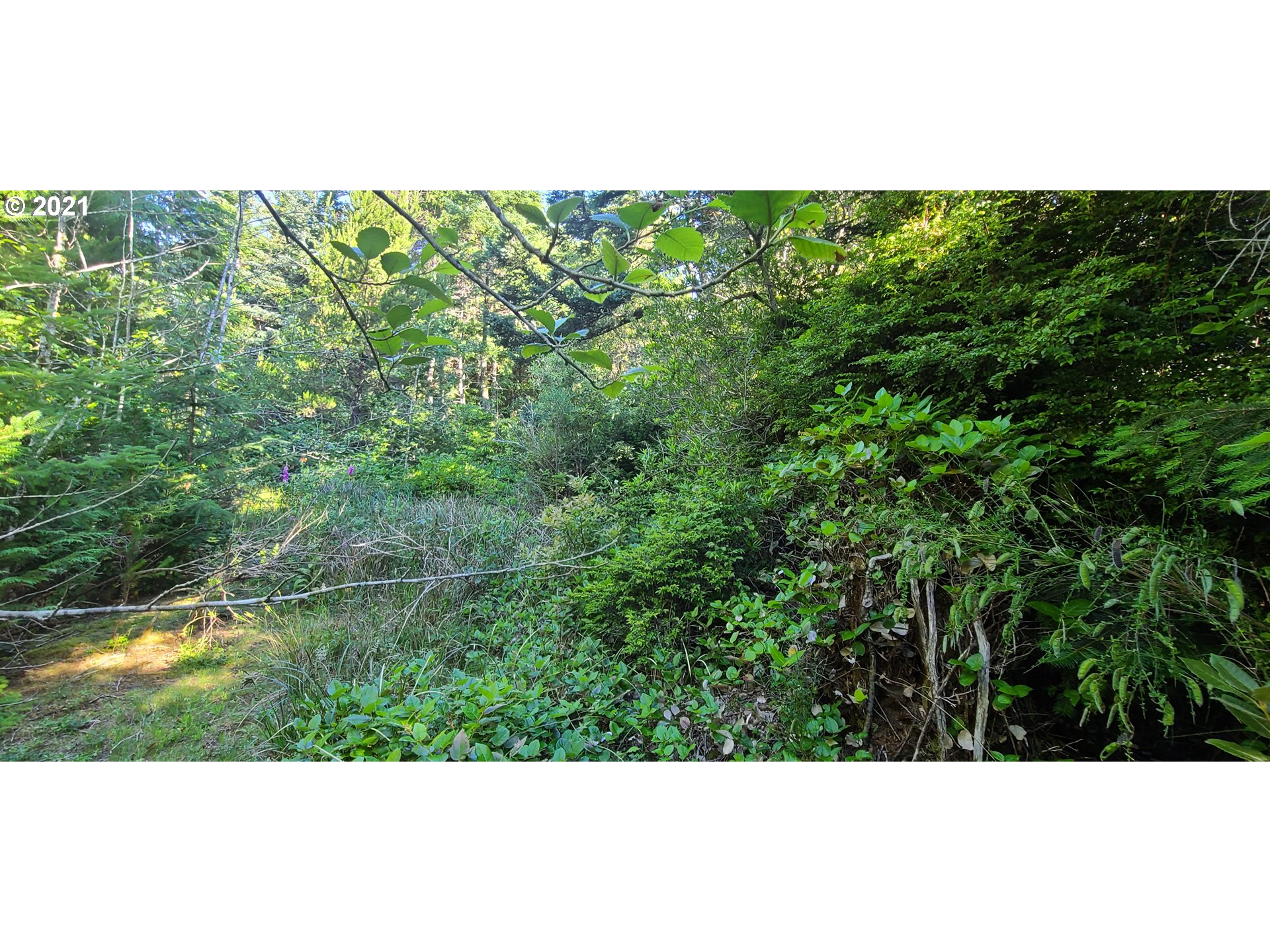 Old Mill Rd Port, Unit 901 Port Orford, OR 97465 - Photo 8 of 17 Gallery Image 8