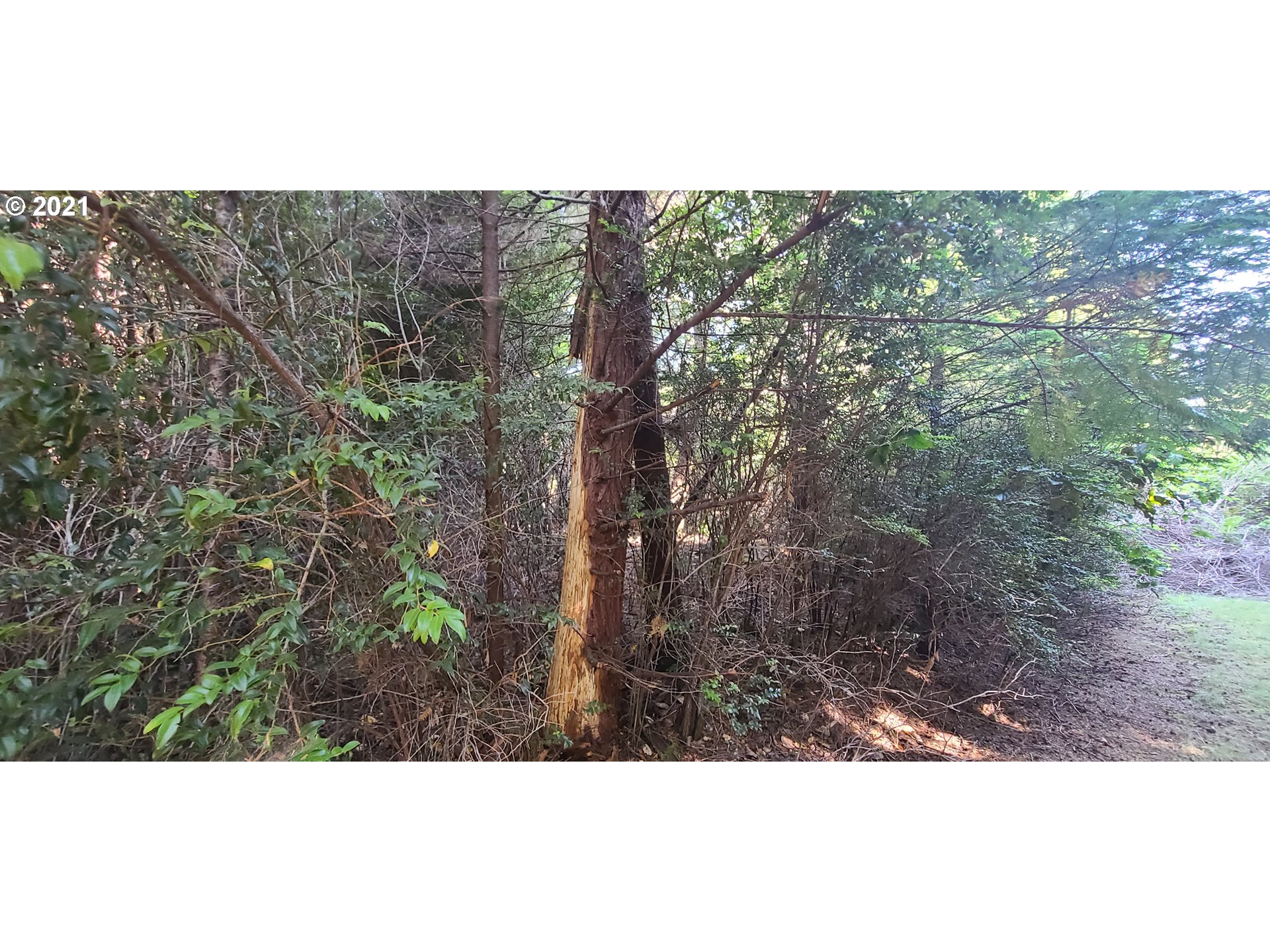 Old Mill Rd Port, Unit 901 Port Orford, OR 97465 - Photo 10 of 17 Gallery Image 10