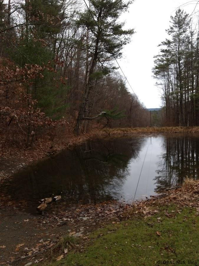 400 Pleasant Valley Road Fulton, NY 12071 - Photo 3 of 17 Photo 3