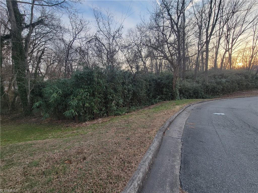 0 Davis Street Reidsville, NC 27320 - Photo 2 of 9
