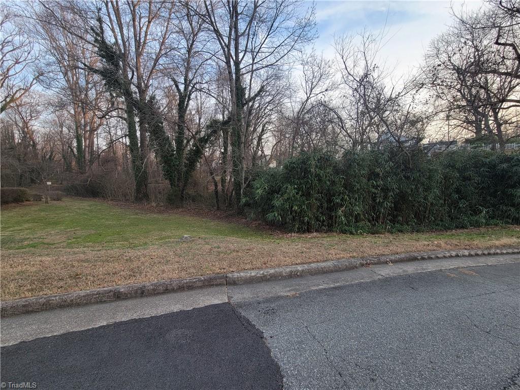 0 Davis Street Reidsville, NC 27320 - Photo 7 of 9