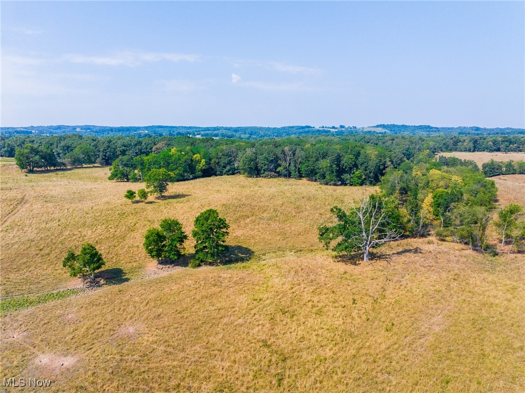 Lewis Road Salineville, OH 43945 - Photo 14 of 14 Overview of rural landscape